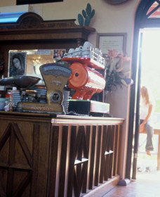 Cactus Cafe And Gallery - South Australia Travel 1