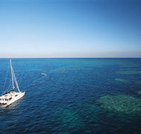 Bait Reef and Garys Lagoon Dive Site - South Australia Travel