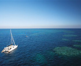 Bait Reef And Garys Lagoon Dive Site - South Australia Travel 0