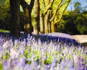 Duneira, Mt Macedon - South Australia Travel 4