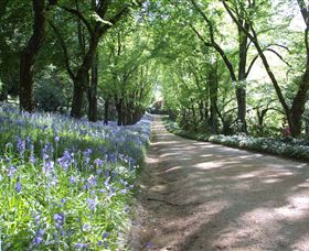 Duneira, Mt Macedon - South Australia Travel 3