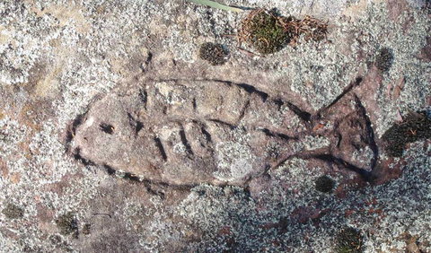 Terry Hie Hie Aboriginal Area - South Australia Travel 3