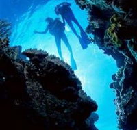 Caves and Canyons Dive Site - South Australia Travel