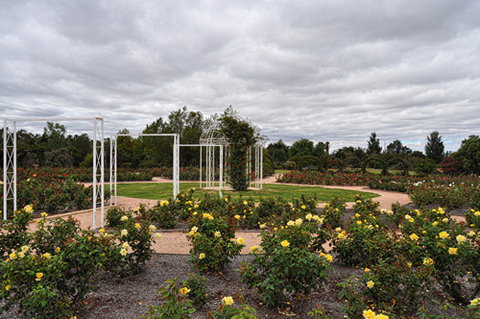 Australian Inland Botanic Gardens - South Australia Travel 0