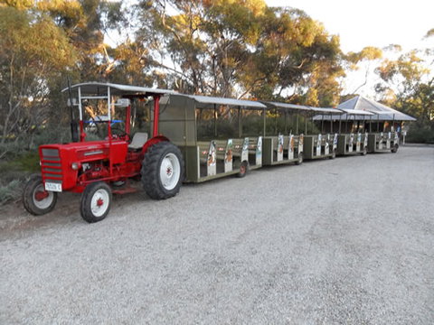 Australian Inland Botanic Gardens - South Australia Travel 4