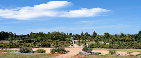Australian Inland Botanic Gardens - South Australia Travel 5