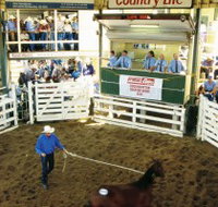 Gracemere Exhibition Complex - South Australia Travel