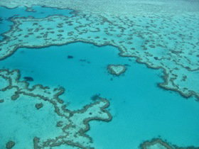 Heart Reef - South Australia Travel 0