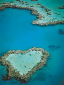 Heart Reef - South Australia Travel 3