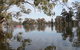 Henty Government Dam Nature Reserve - thumb 1