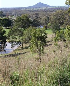 Mt Piper Nature Conservation Reserve - South Australia Travel 1