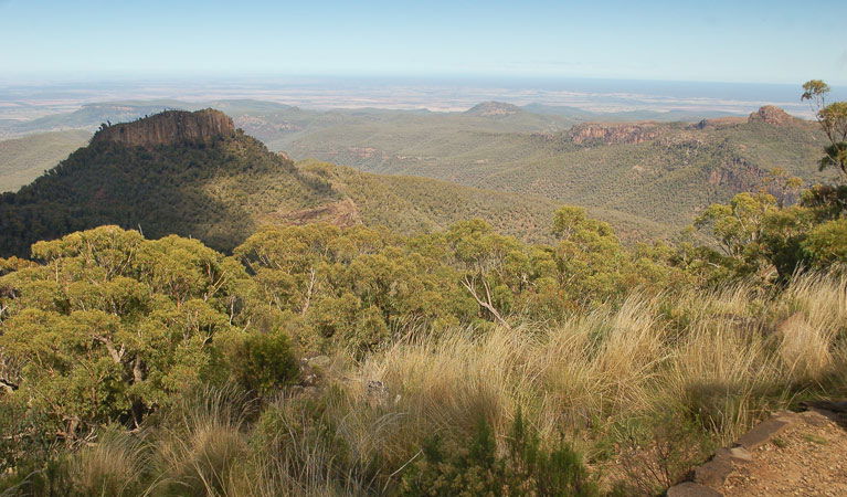 Kaputar NSW South Australia Travel