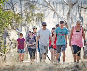 Winton Wetlands Reserve - South Australia Travel 0