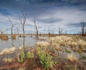 Winton Wetlands Reserve - South Australia Travel 4