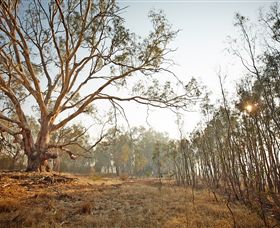 Winton Wetlands Reserve - South Australia Travel 2