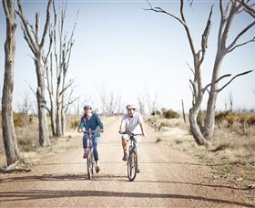 Winton Wetlands Reserve - South Australia Travel 6