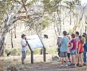 Winton Wetlands Reserve - South Australia Travel 5
