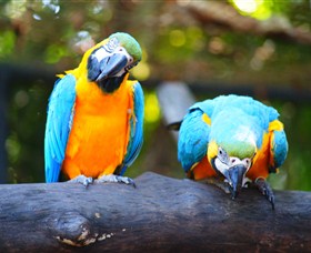 The Rockhampton Zoo - South Australia Travel 2