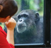 The Rockhampton Zoo - South Australia Travel