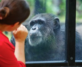 The Rockhampton Zoo - South Australia Travel 0