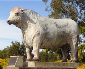 Rockhampton Bull Statues - South Australia Travel 1