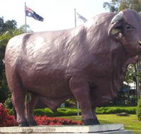 Rockhampton Bull Statues - South Australia Travel