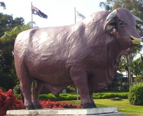 Rockhampton Bull Statues - South Australia Travel 0
