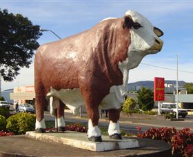 Rockhampton Bull Statues - South Australia Travel 2