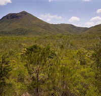 Kutini-Payamu Iron Range National Park CYPAL - South Australia Travel