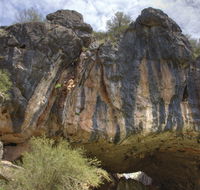Borenore Karst Conservation Reserve - South Australia Travel