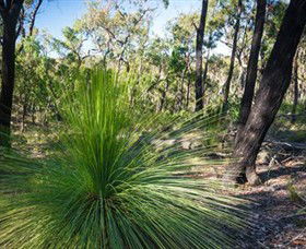 Macedon VIC South Australia Travel