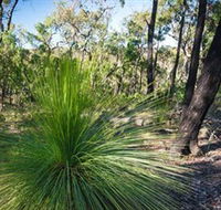 Brisbane Ranges National Park - South Australia Travel