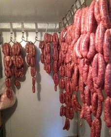 Buronga Organics - Coota - South Australia Travel 1