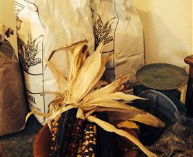 Buronga Organics - Coota - South Australia Travel 0