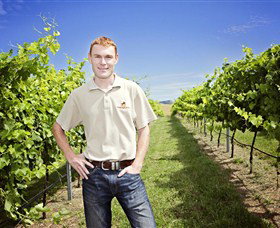 Stockmans Ridge Wines - South Australia Travel 0