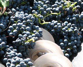 Orange Mountain Wines - South Australia Travel 2