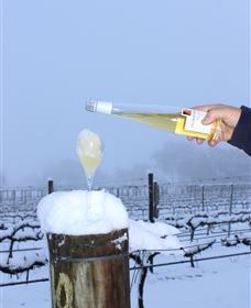 Orange Mountain Wines - South Australia Travel 1