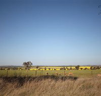 Cootamundra Bird Walk - South Australia Travel
