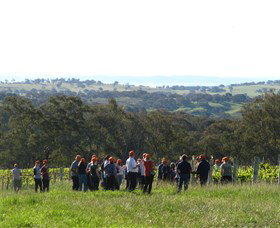 Cargo Road Wines - South Australia Travel 4