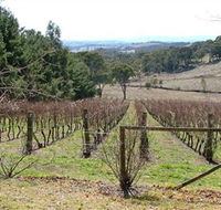 Habitat Vineyard - South Australia Travel