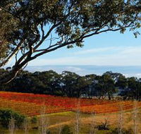 Bloodwood Estate - South Australia Travel