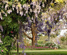 Wombat Heights Orchard And Grog Shed - South Australia Travel 2