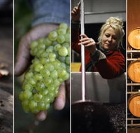 Ross Hill Wines - South Australia Travel