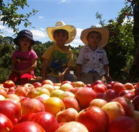 Bonny Glen Fruits - South Australia Travel