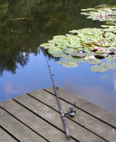 Ophir Reserve - South Australia Travel 0