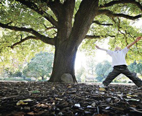 Albury Botanic Gardens - South Australia Travel 1