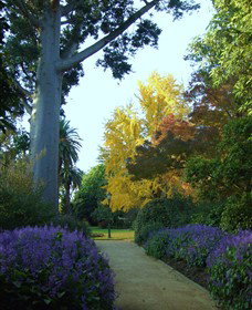 Albury Botanic Gardens - South Australia Travel 4