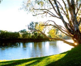Albury - Murray River Precinct - South Australia Travel 0