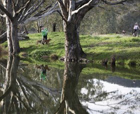 Albury - Murray River Precinct - South Australia Travel 3