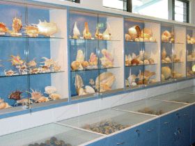 Shell World Yeppoon - South Australia Travel 1